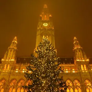Vienna Home , Vienna Austria